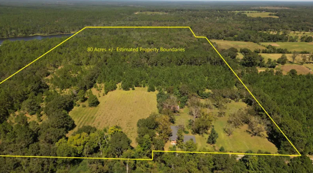 Hunting Land for Sale in Alabama – Best Prices